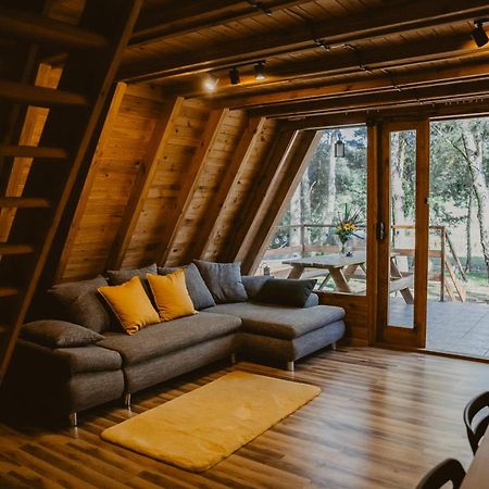 Mesa Summer House Zakrzewo  Luaran gambar