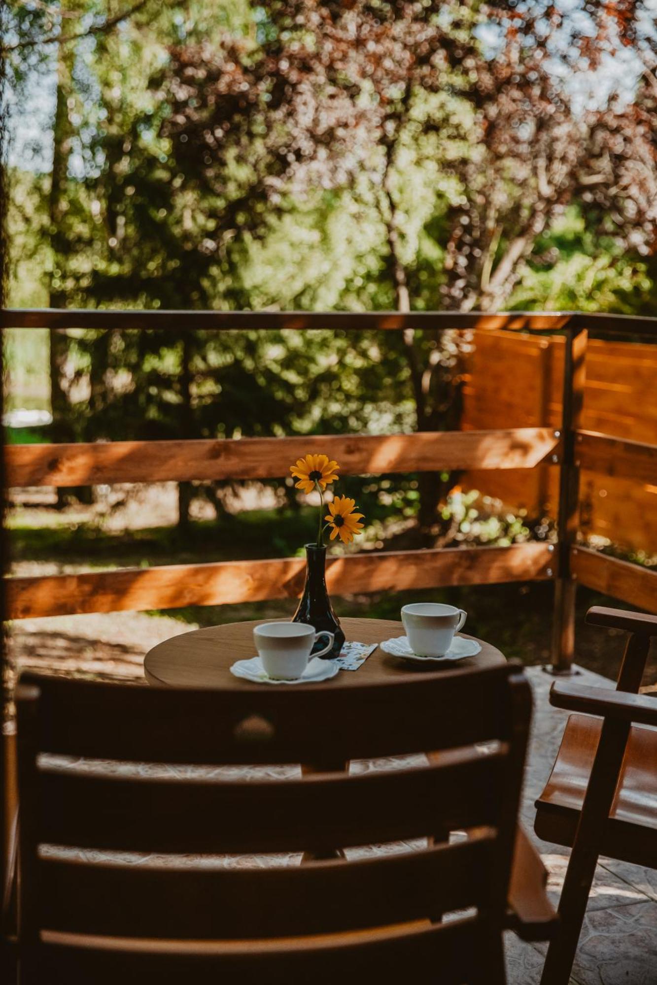 Mesa Summer House Zakrzewo  Luaran gambar